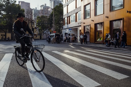 道路沥青冷补料价格趋势分析