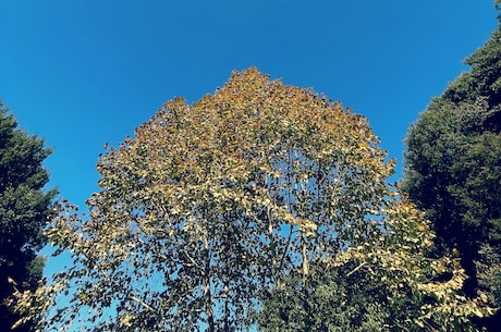 空空导弹研究院(空空导弹研究院：打造中国航天事业中坚力量)