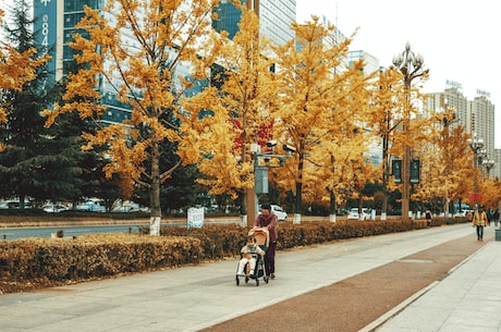 贵广高速铁路(贵广高速铁路开通，缩短陕西到广东的距离)