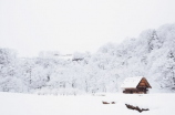 雪村赵英俊现身上海池和记实验学校，同学和老师惊呆了！